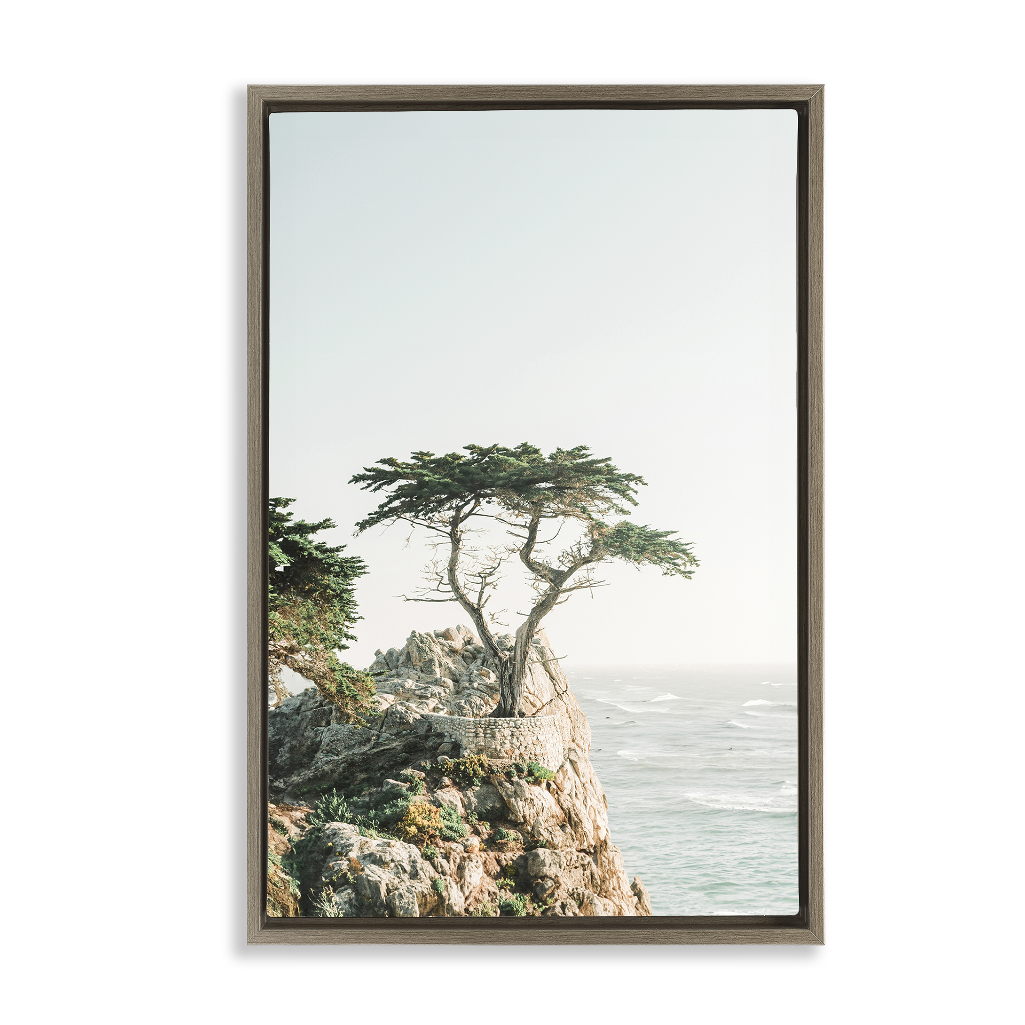 Stupell Industries Tree on Beachside Cliff Nautical & Beach Photography Brown Floater Framed Canvas Art Print Wall Art, 17 x 25