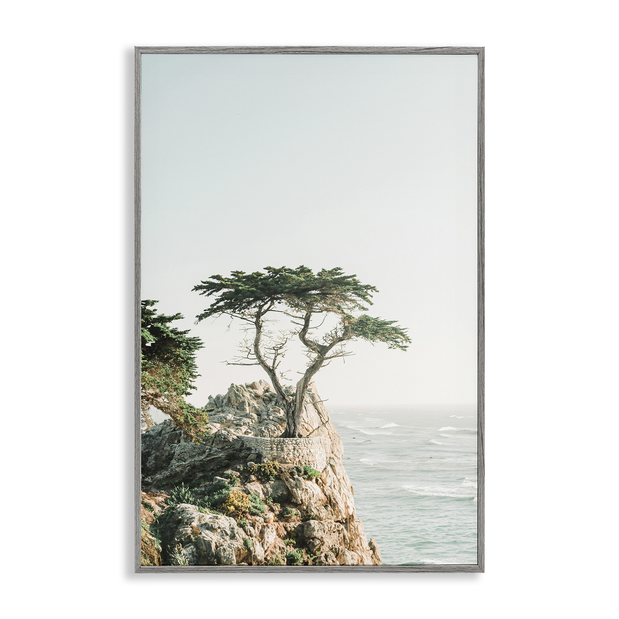 Stupell Industries Tree on Beachside Cliff Nautical & Beach Photography Gray Framed Art Print Wall Art, 16 x 24