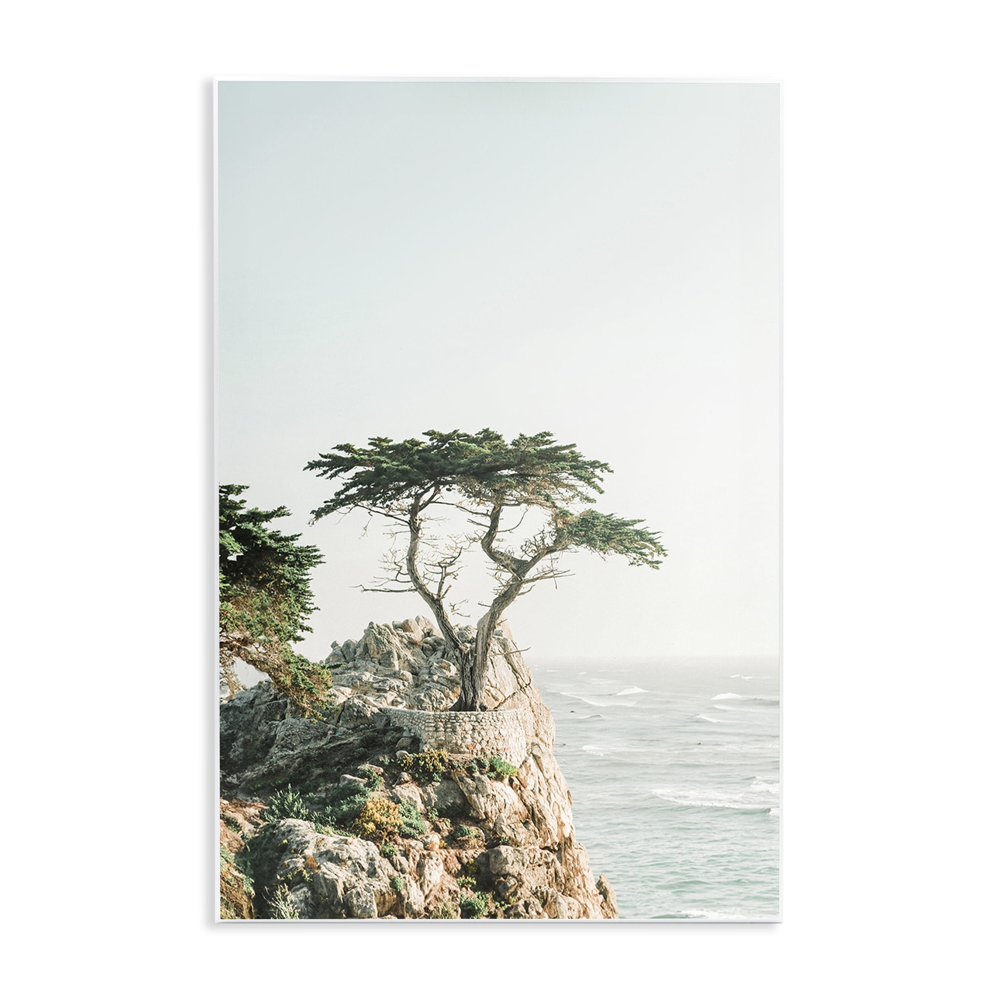 Stupell Industries Tree on Beachside Cliff Nautical & Beach Photography Unframed Art Print Wall Art, 13 x 19