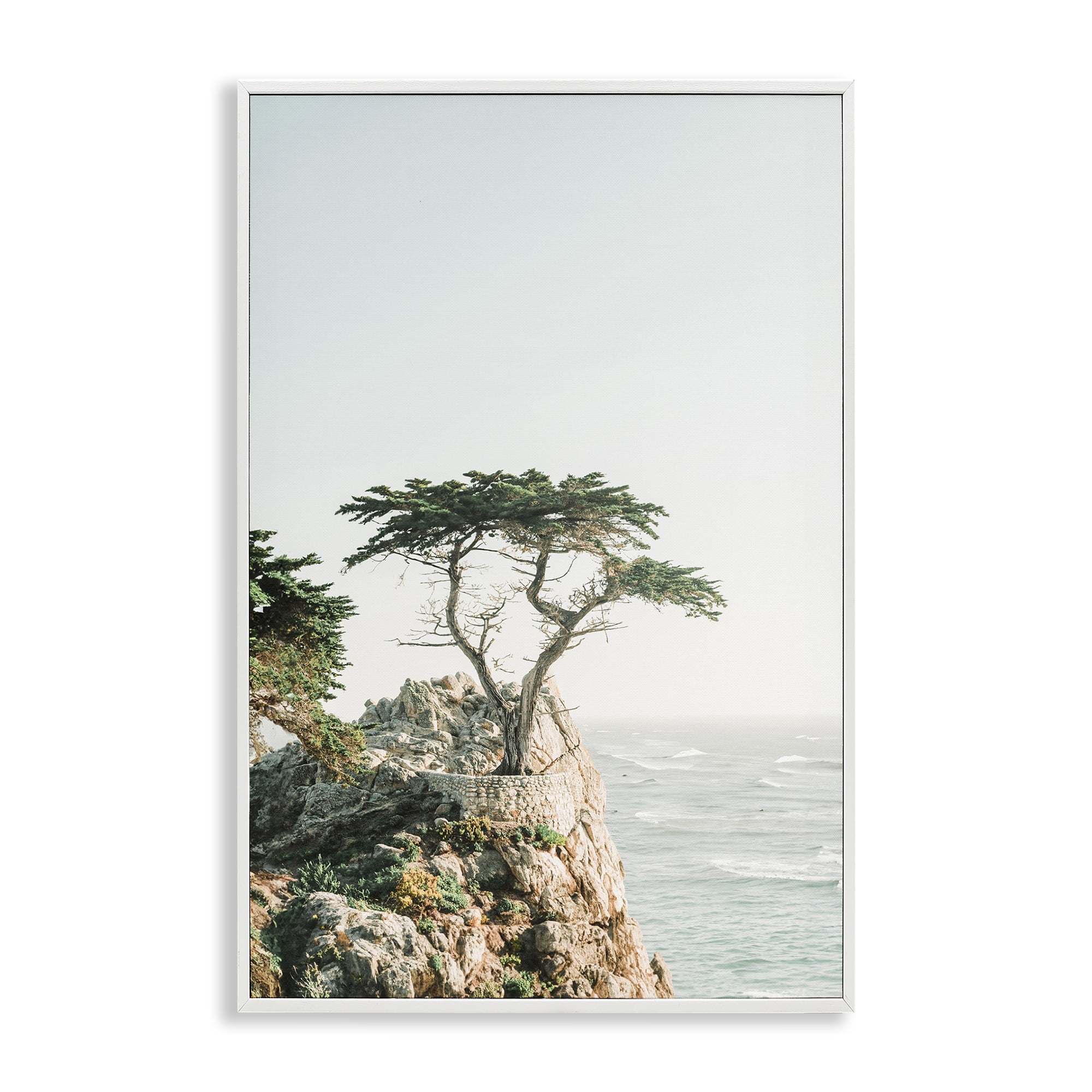 Stupell Industries Tree on Beachside Cliff Nautical & Beach Photography White Framed Art Print Wall Art, 12 x 18