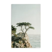 Stupell Industries Tree on Beachside Cliff Nautical & Beach Photography Wrapped Canvas Art Print Wall Art, 16 x 24