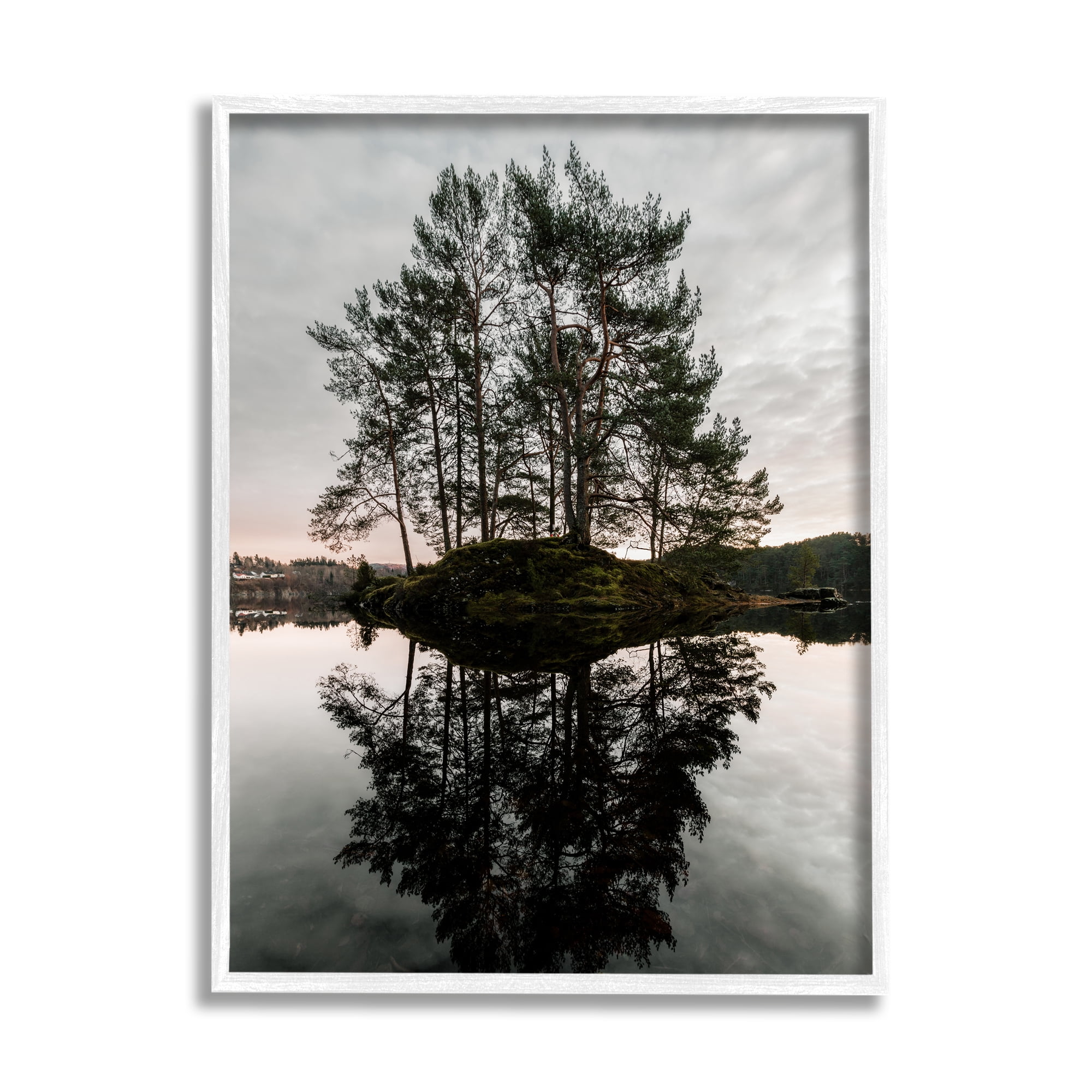 Stupell Industries Tree on Lake Landscape Nature Photography White Framed Art Print Wall Art, 16 x 20