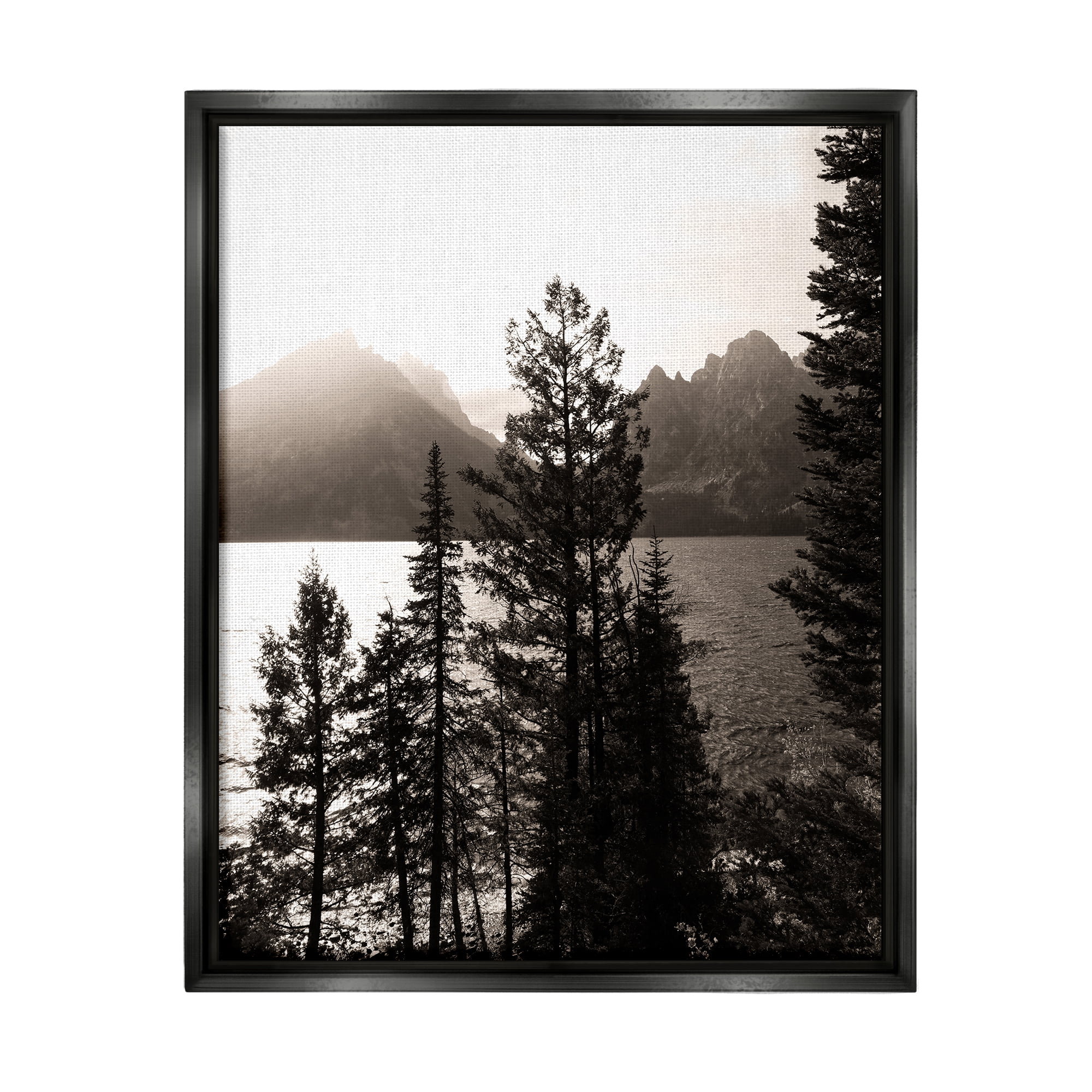 Stupell Industries Trees & Lake View Landscape Photography Black Floater Framed Canvas Art Print Wall Art, 25 x 31
