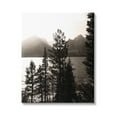 thumbnail image 1 of Stupell Industries Trees & Lake View Landscape Photography Gallery Wrapped Canvas Art Print Wall Art, 30 x 40, 1 of 8