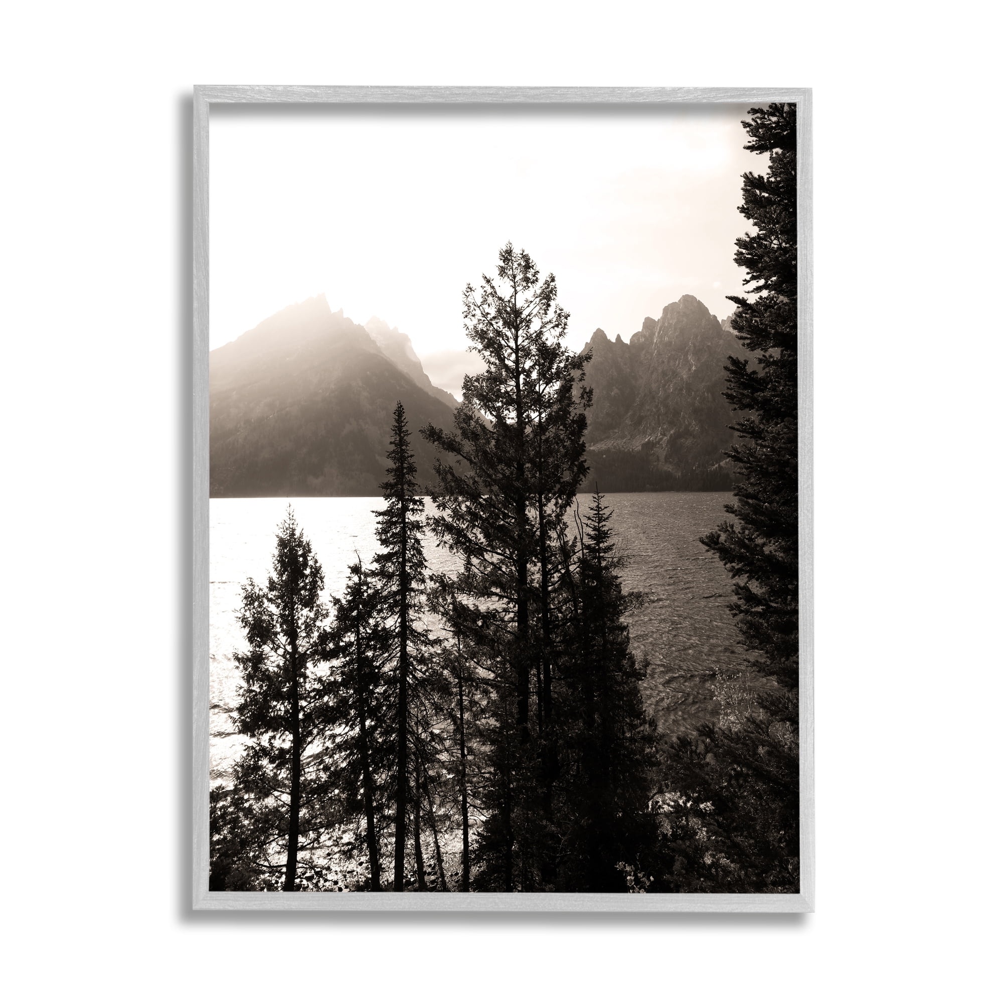 Stupell Industries Trees & Lake View Landscape Photography Gray Framed Art Print Wall Art, 11 x 14
