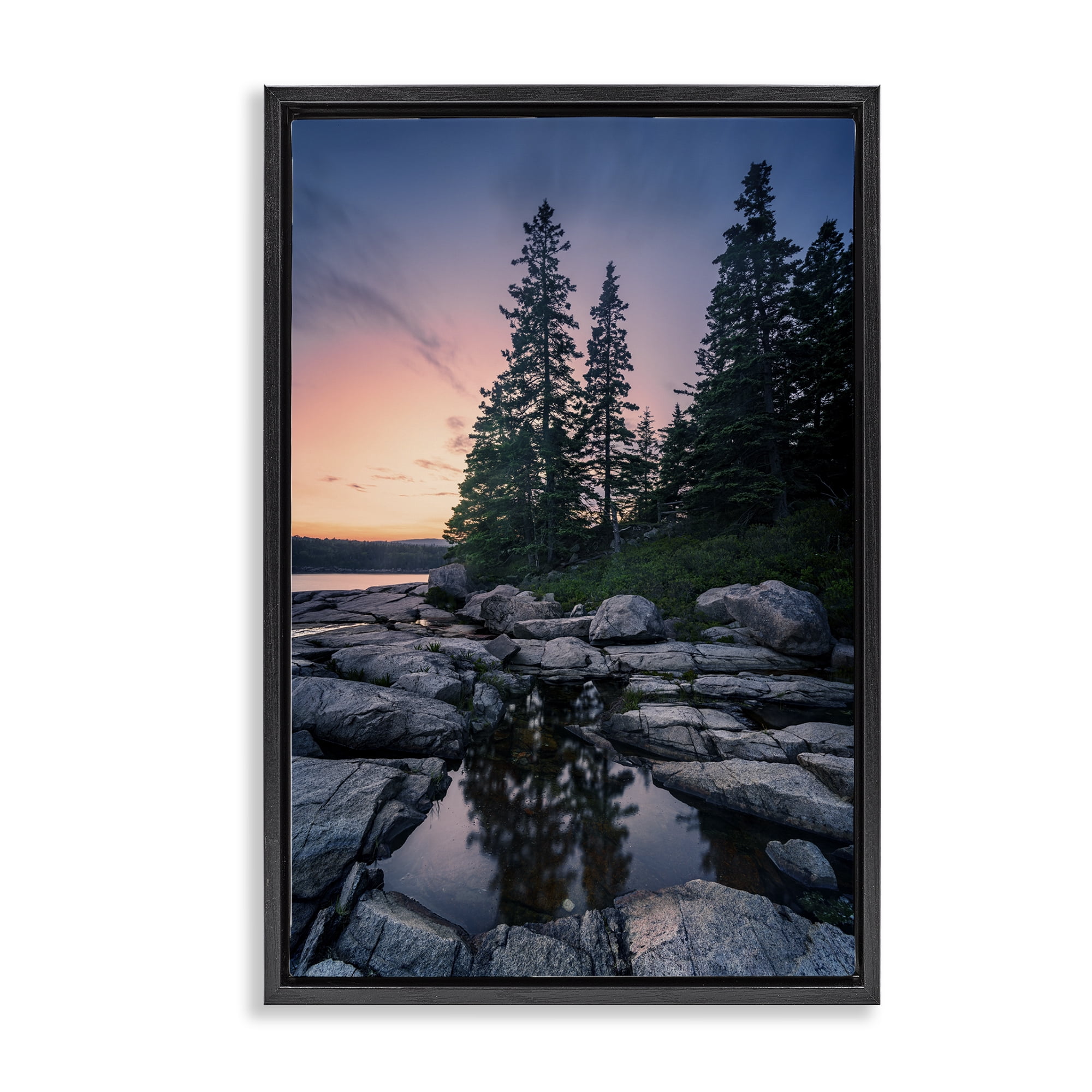 Stupell Industries Trees Reflected in Tide Pool Landscape & Nature Photography Black Floater Framed Canvas Art Print Wall Art, 21 x 31
