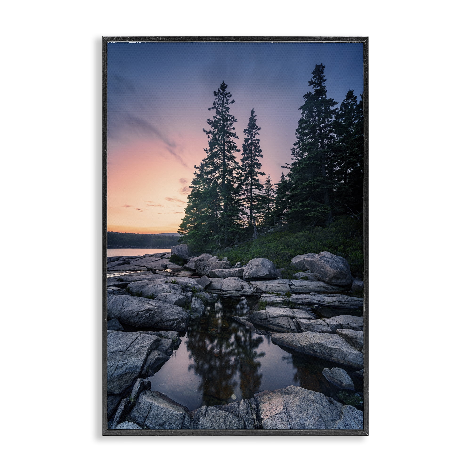 Stupell Industries Trees Reflected in Tide Pool Landscape & Nature Photography Black Framed Art Print Wall Art, 20 x 30
