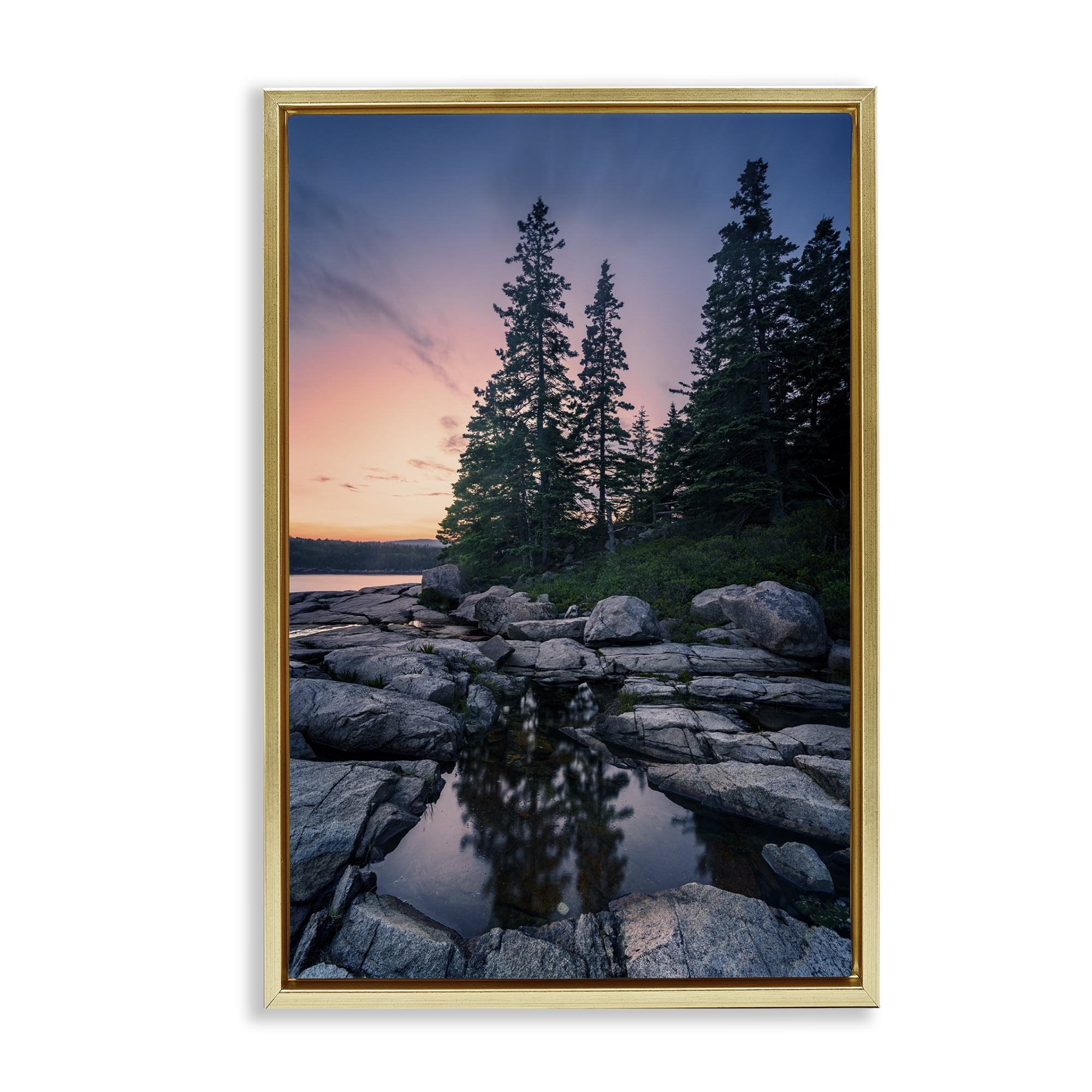 Stupell Industries Trees Reflected in Tide Pool Landscape & Nature Photography Gold Floater Framed Canvas Art Print Wall Art, 21 x 31