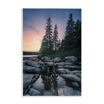 Stupell Industries Trees Reflected in Tide Pool Landscape & Nature Photography Unframed Art Print Wall Art, 10 x 15