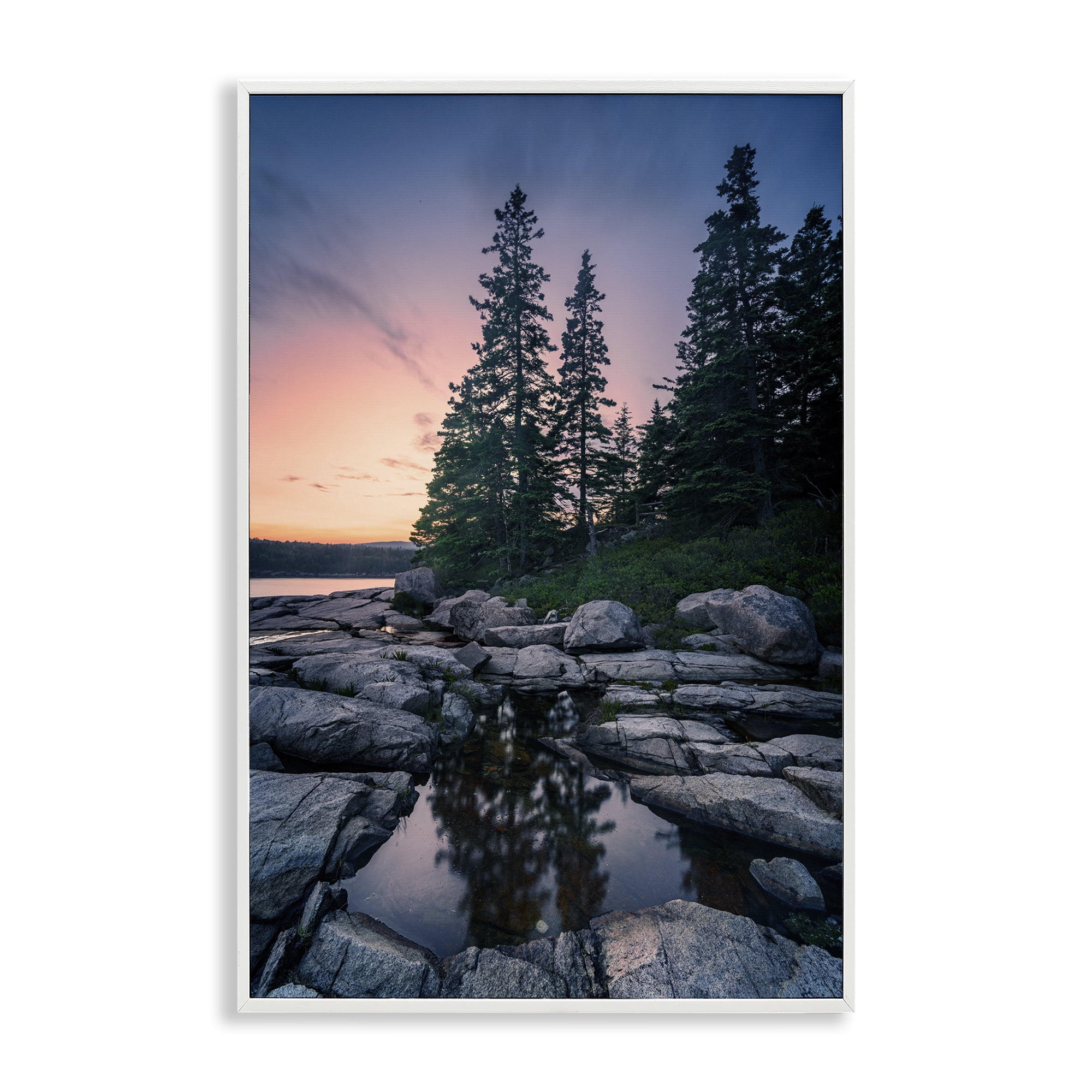Stupell Industries Trees Reflected in Tide Pool Landscape & Nature Photography White Framed Art Print Wall Art, 16 x 24