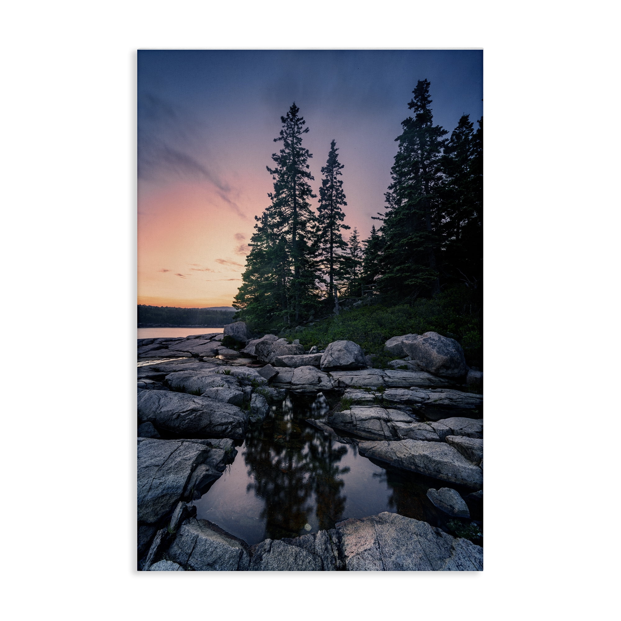 Stupell Industries Trees Reflected in Tide Pool Landscape & Nature Photography Wrapped Canvas Art Print Wall Art, 24 x 36