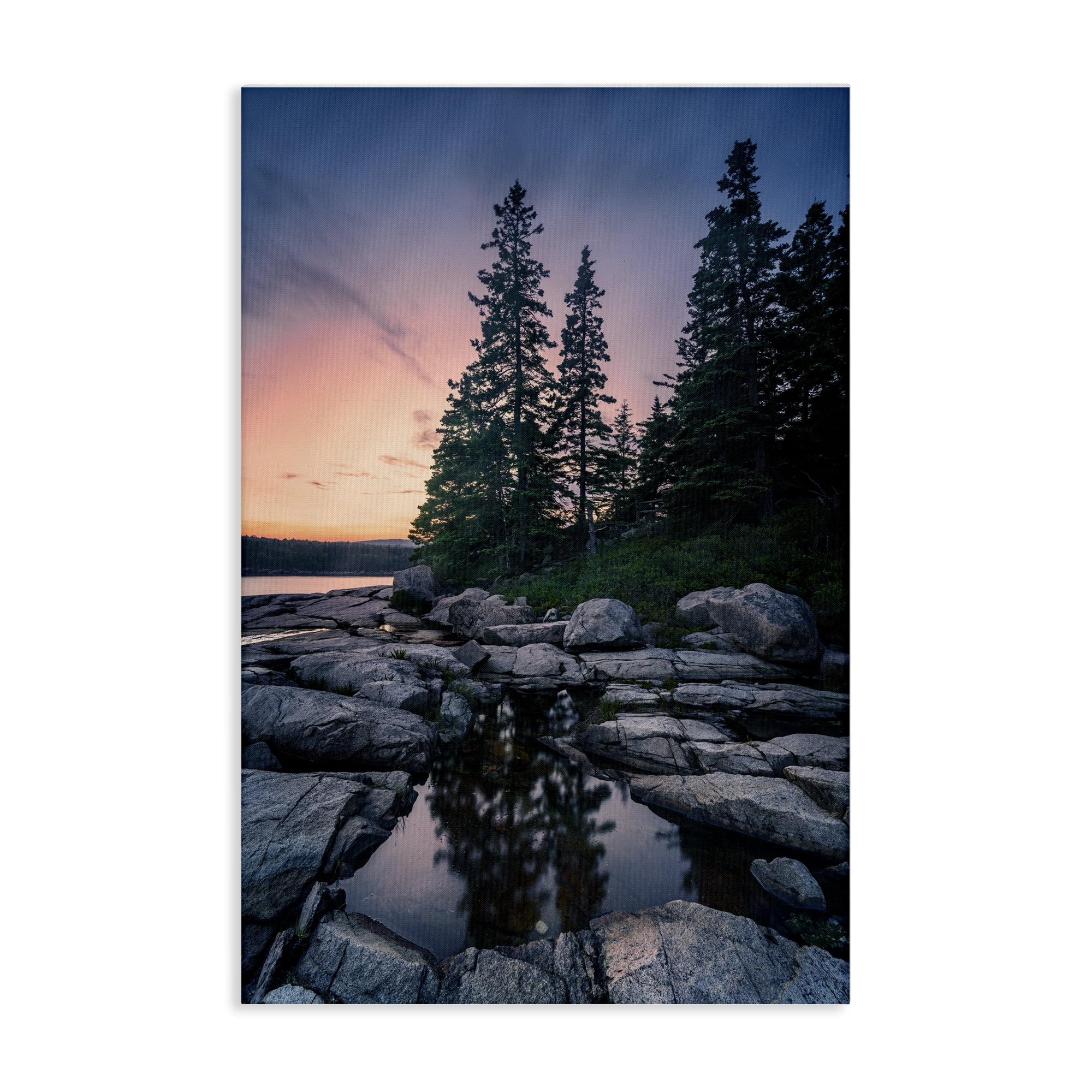 Stupell Industries Trees Reflected in Tide Pool Landscape & Nature Photography Wrapped Canvas Art Print Wall Art, 30 x 45