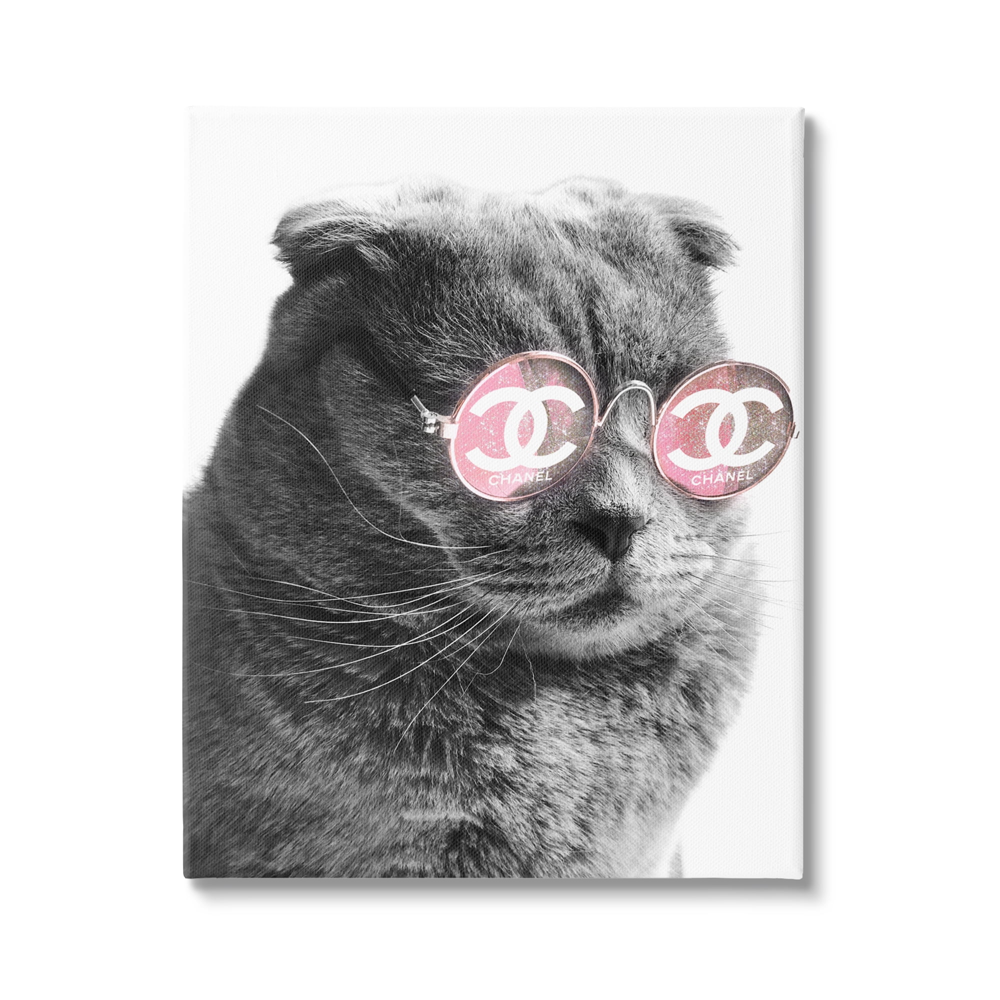 Stupell Industries Trendy Cat Wearing Glam Fashion Pink Sunglasses Graphic Art Gallery Wrapped Canvas Print Wall Art, Design by Ziwei Li