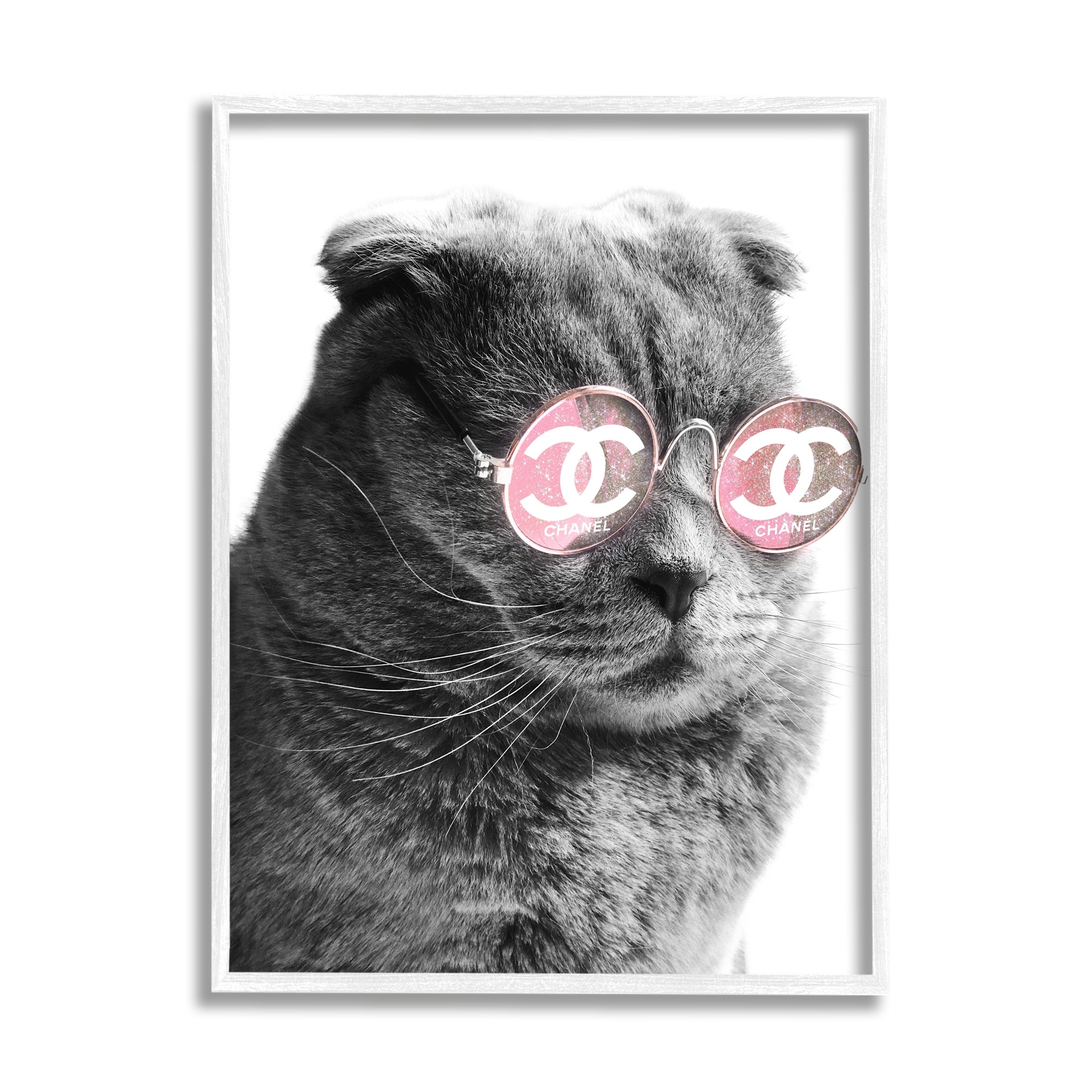 Stupell Industries Trendy Cat Wearing Glam Fashion Pink Sunglasses Graphic Art White Framed Art Print Wall Art, Design by Ziwei Li