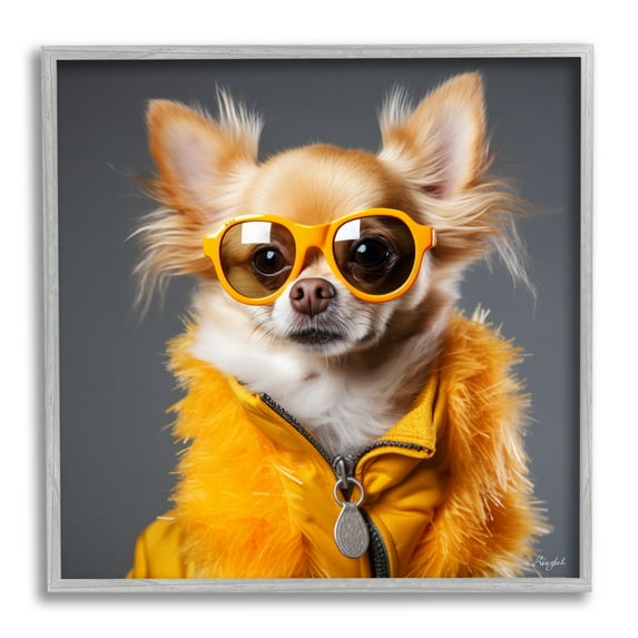 Stupell Industries Trendy Chihuahua Portrait Animals & Insects Painting Gray Framed Art Print Wall Art, 12 x 12