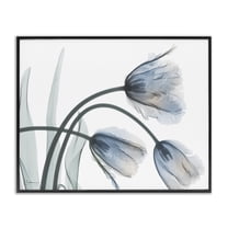 Stupell Industries Trendy Mod Tulips Floral Photography Black Framed Art Print Wall Art, 14 x 11