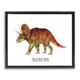 thumbnail image 1 of Stupell Industries Triceratops Dinosaur Learning Animals Painting Black Floater Framed Canvas Art Print Wall Art, 21 x 17, 1 of 10