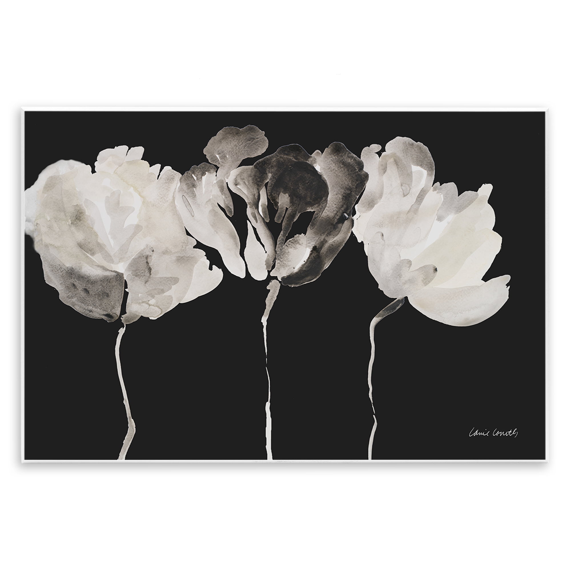 Stupell Industries Trio In Light On Black Wall Plaque Art, design by Lanie Loreth