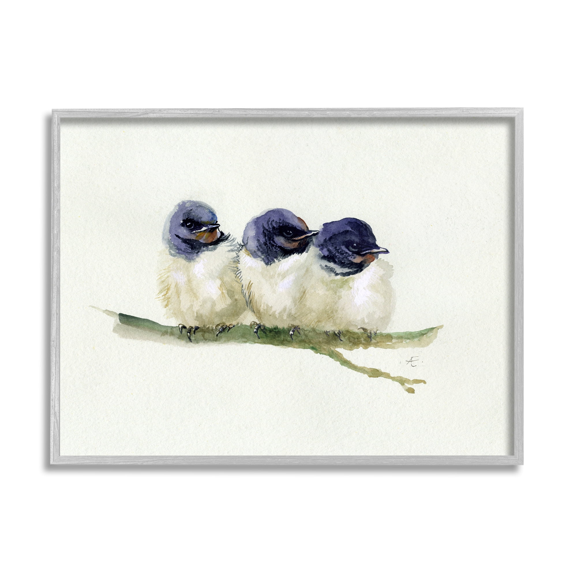 Stupell Industries Trio of Baby Swallows Birds Perched on Branch Animals & Insects Painting Gray Framed Art Print Wall Art, 16 x 20