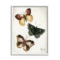 thumbnail image 1 of Stupell Industries Trio of Butterflies Farmhouse Patterned Wings Charming Insects, 11 x 14, Design by Jackie Quigley, 1 of 5