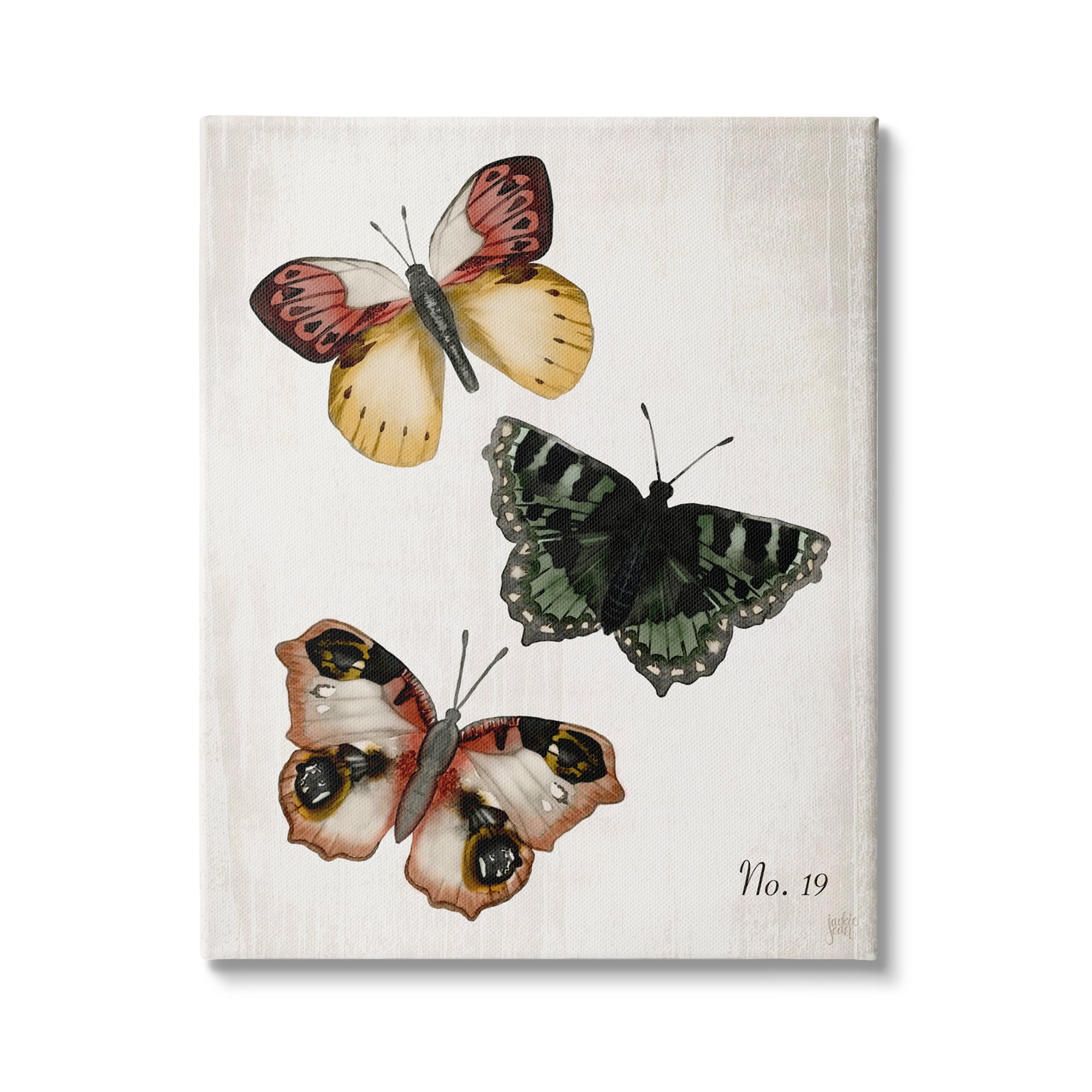 Stupell Industries Trio of Butterflies Farmhouse Patterned Wings Charming Insects, 16 x 20, Design by Jackie Quigley