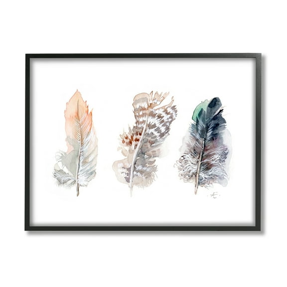 Stupell Industries Trio of Patterned Bird Feathers Animal Watercolor Animals & Insects Painting Black Framed Art Print Wall Art, 11 x 14