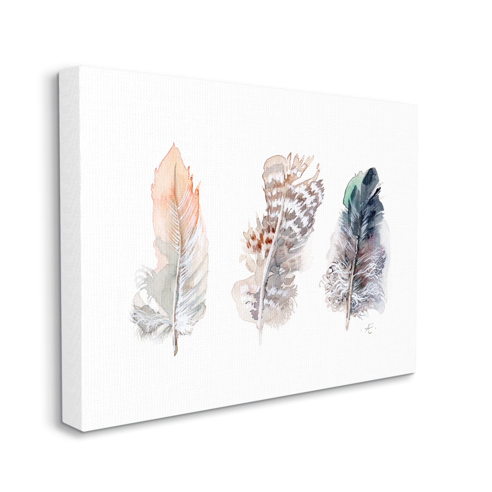 Stupell Industries Trio of Patterned Bird Feathers Animal Watercolor Animals & Insects Painting Gallery Wrapped Canvas Print Wall Art, 36 x 48