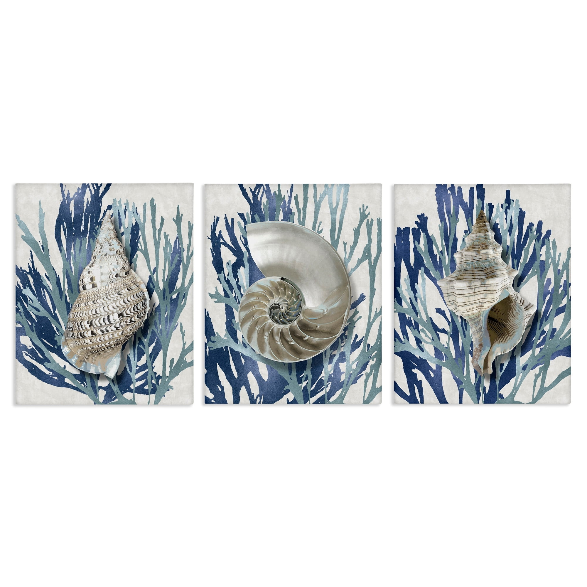 Trio of Shell Coral Blue Coastal Canvas Wall Art Set