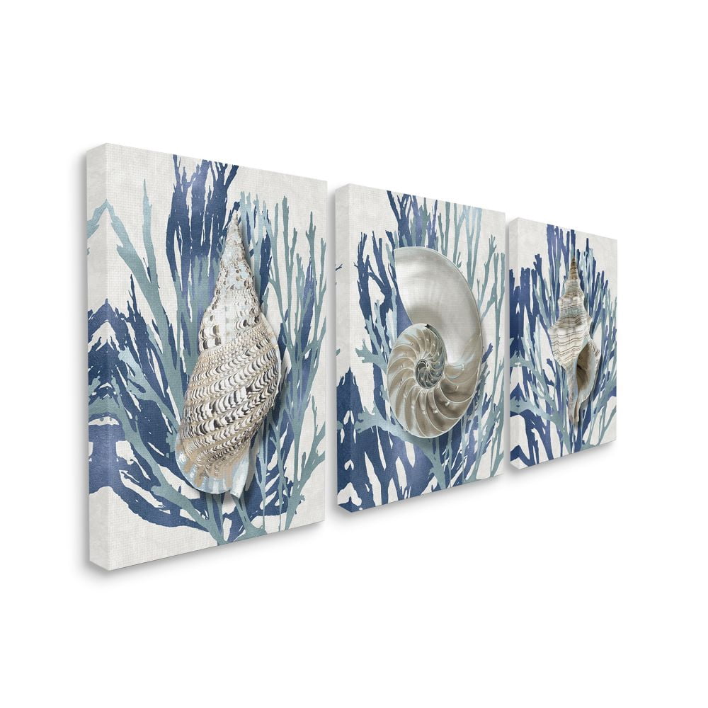 Stupell Industries Trio of Shell Coral Blue Beach Design Canvas Wall Art by Caroline Kelly