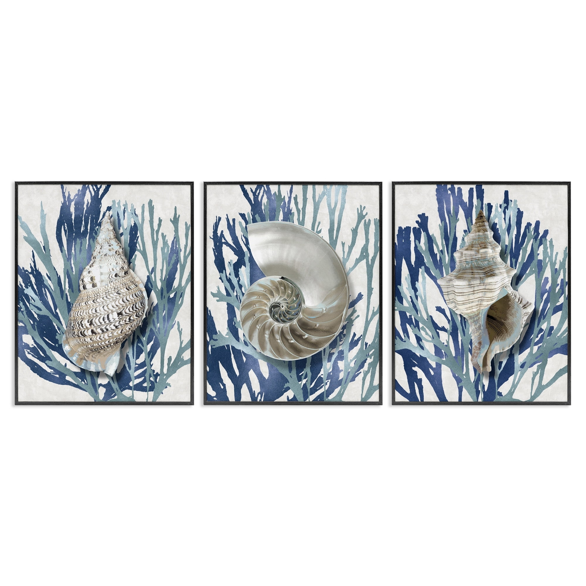 Stupell Industries Trio of Shell Coral Blue Beach Design Graphic Art Black Framed Art Print Wall Art Set of 3, 11x14, by Caroline Kelly