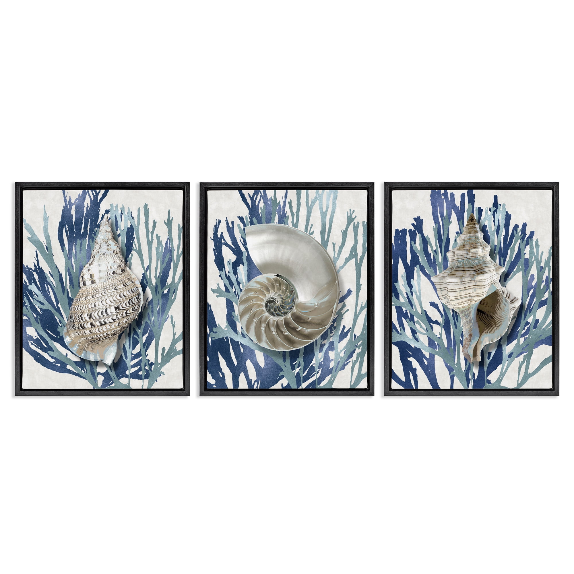 Stupell Industries Trio of Shells & Coral Nature Painting Black Floater Framed Canvas Art Print Wall Art, 25 x 31, Set of 3