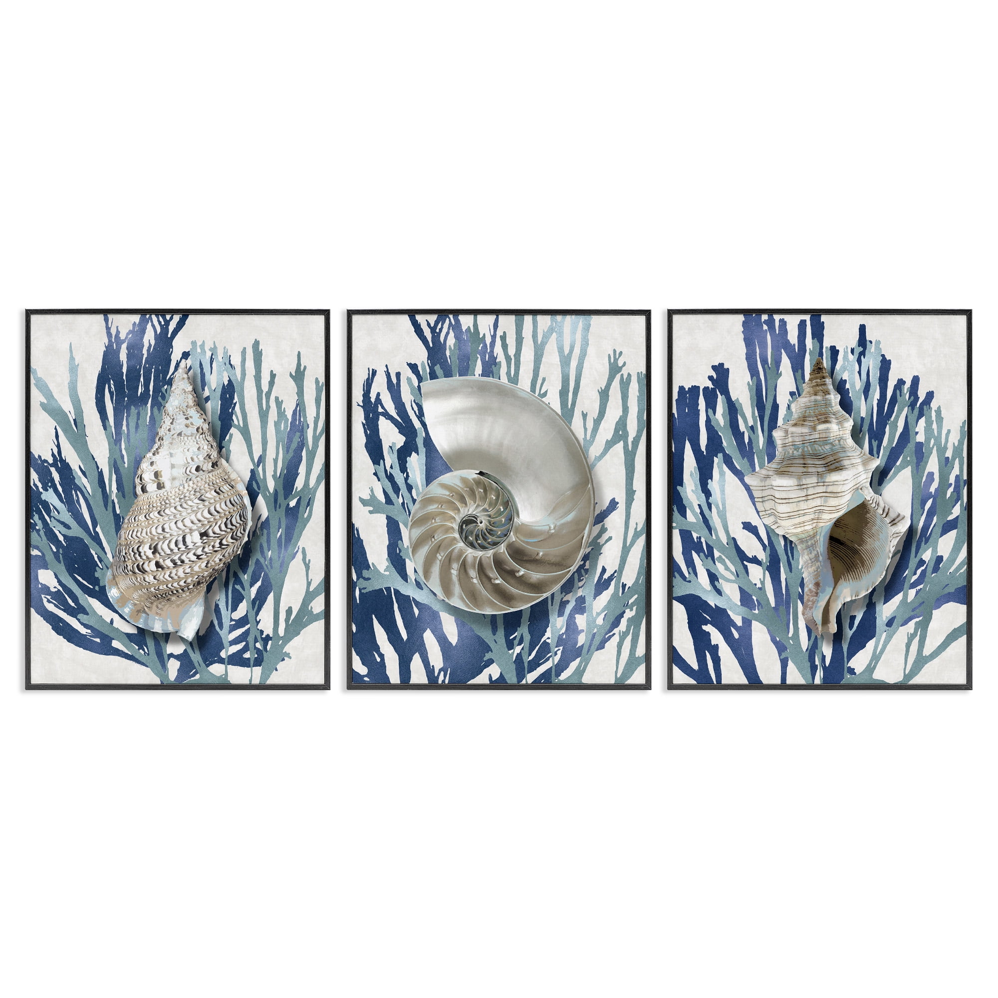 Stupell Industries Trio of Shells & Coral Nature Painting Black Framed Art Print Wall Art, 24 x 30, Set of 3