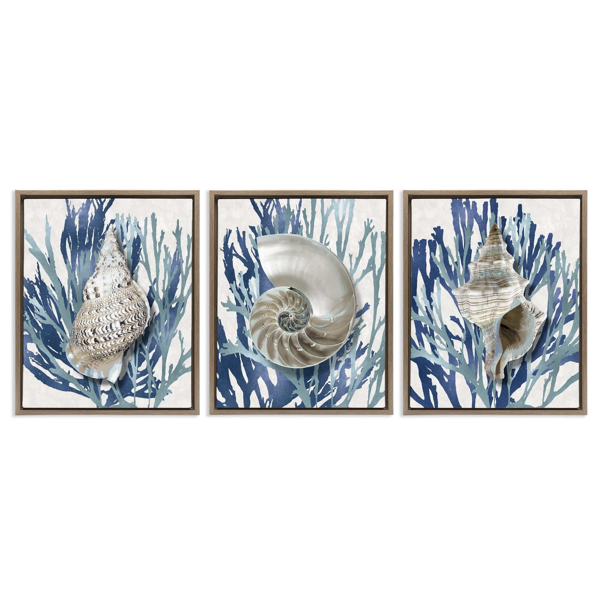 Stupell Industries Trio of Shells & Coral Nature Painting Brown Floater Framed Canvas Art Print Wall Art, 25 x 31, Set of 3