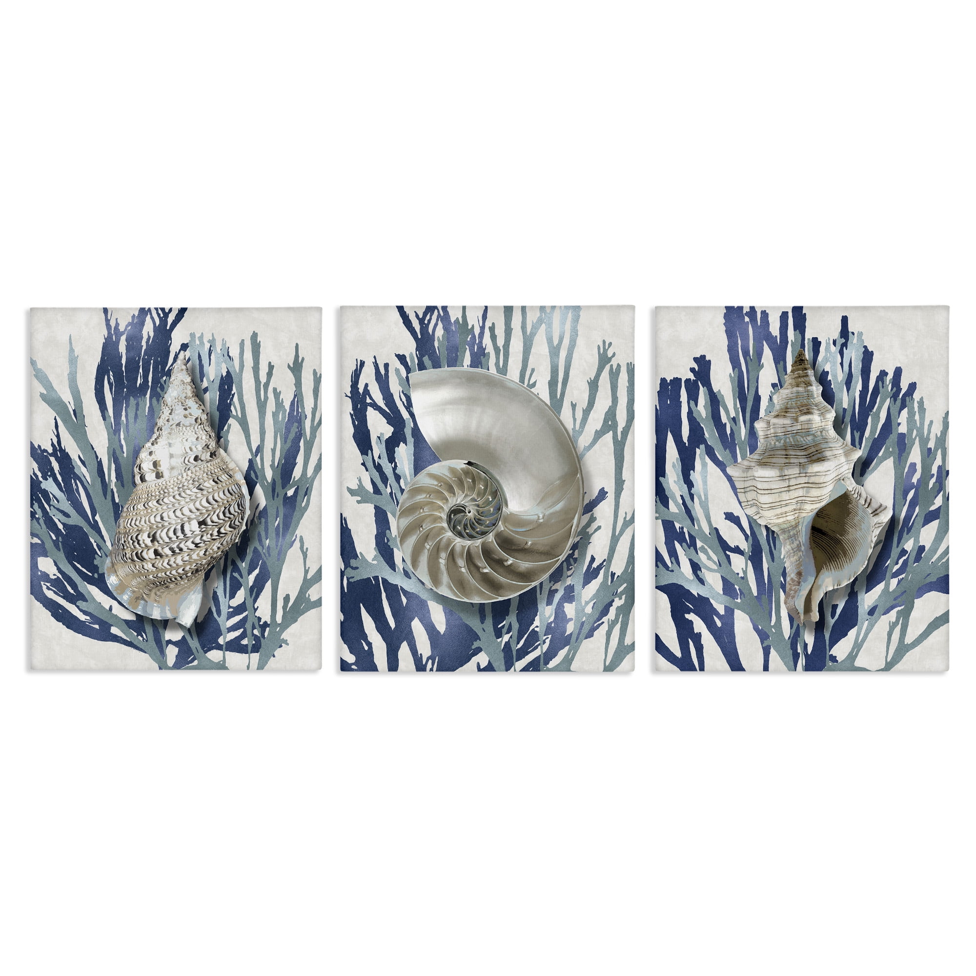 Trio of Shells & Coral Blue and Gray Canvas Art Set