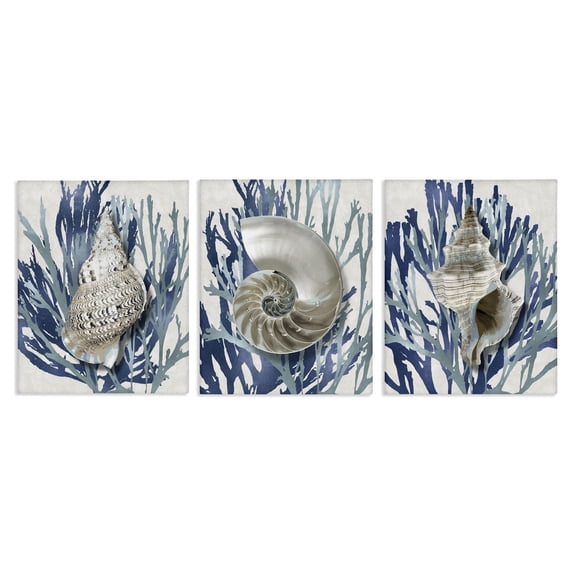 Stupell Industries Trio of Shells & Coral Nature Painting Gallery Wrapped Canvas Art Print Wall Art, 11 x 14, Set of 3