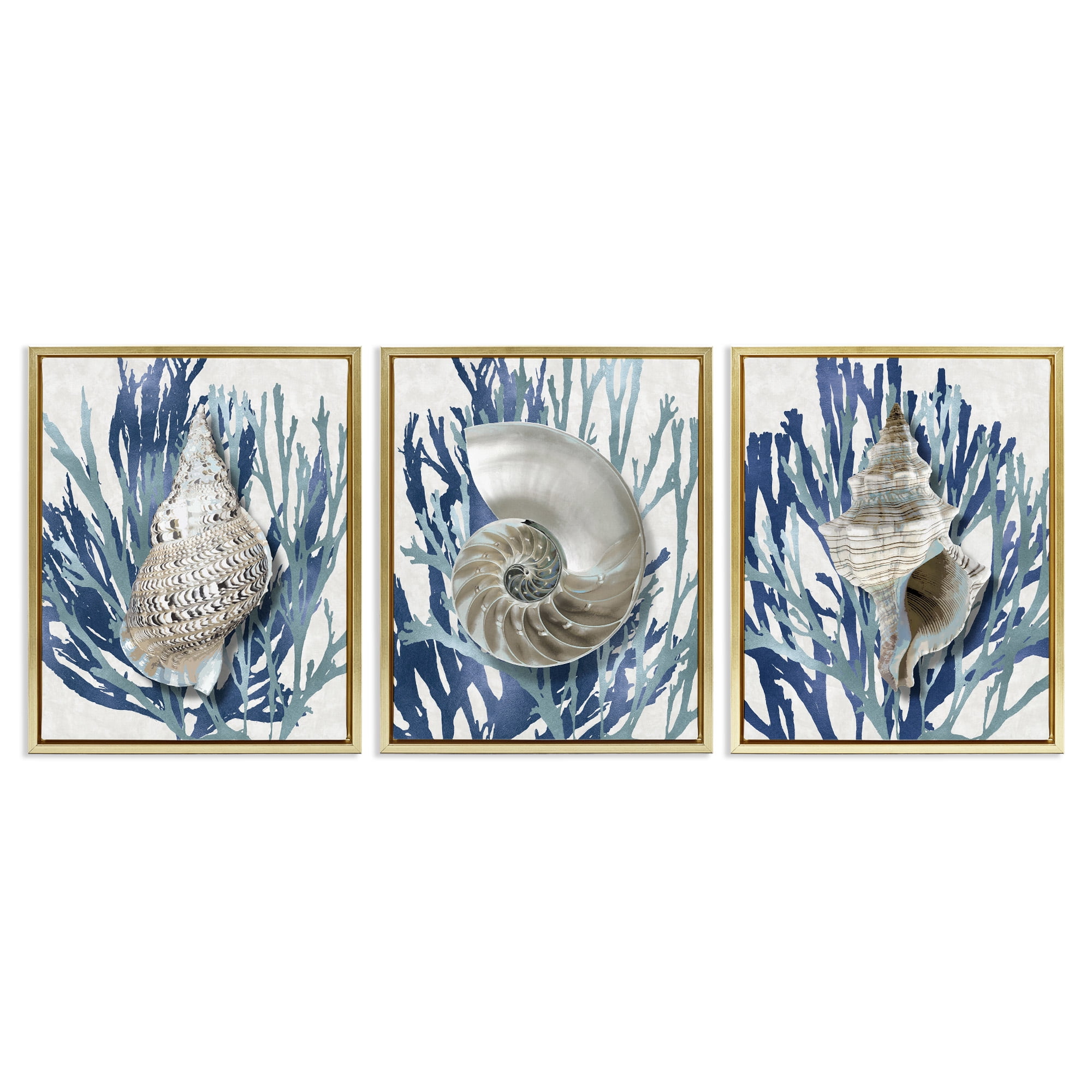 Stupell Industries Trio of Shells & Coral Nature Painting Gold Floater Framed Canvas Art Print Wall Art, 25 x 31, Set of 3