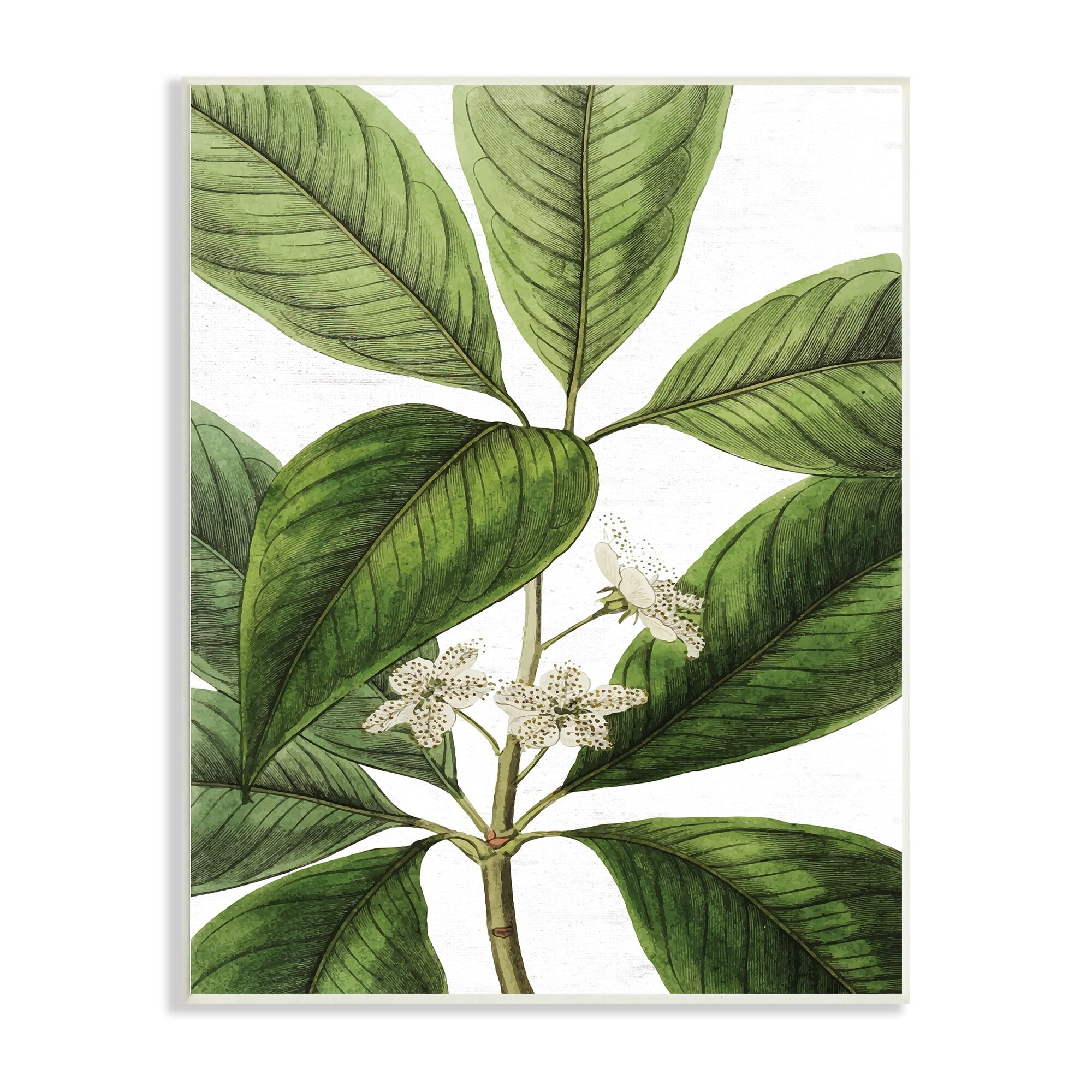 Green Botanical Leaf and Flower Canvas Print on MDF Wood