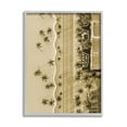 thumbnail image 1 of Stupell Industries Tropical Aerial View Landscape Photography Gray Framed Art Print Wall Art, 24 x 30, 1 of 9