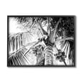 thumbnail image 1 of Stupell Industries Tropical Coconut Fruits Growing Monochrome Palm Tree Photograph Black Framed Art Print Wall Art, Design by Two Smart Blondes, 1 of 5