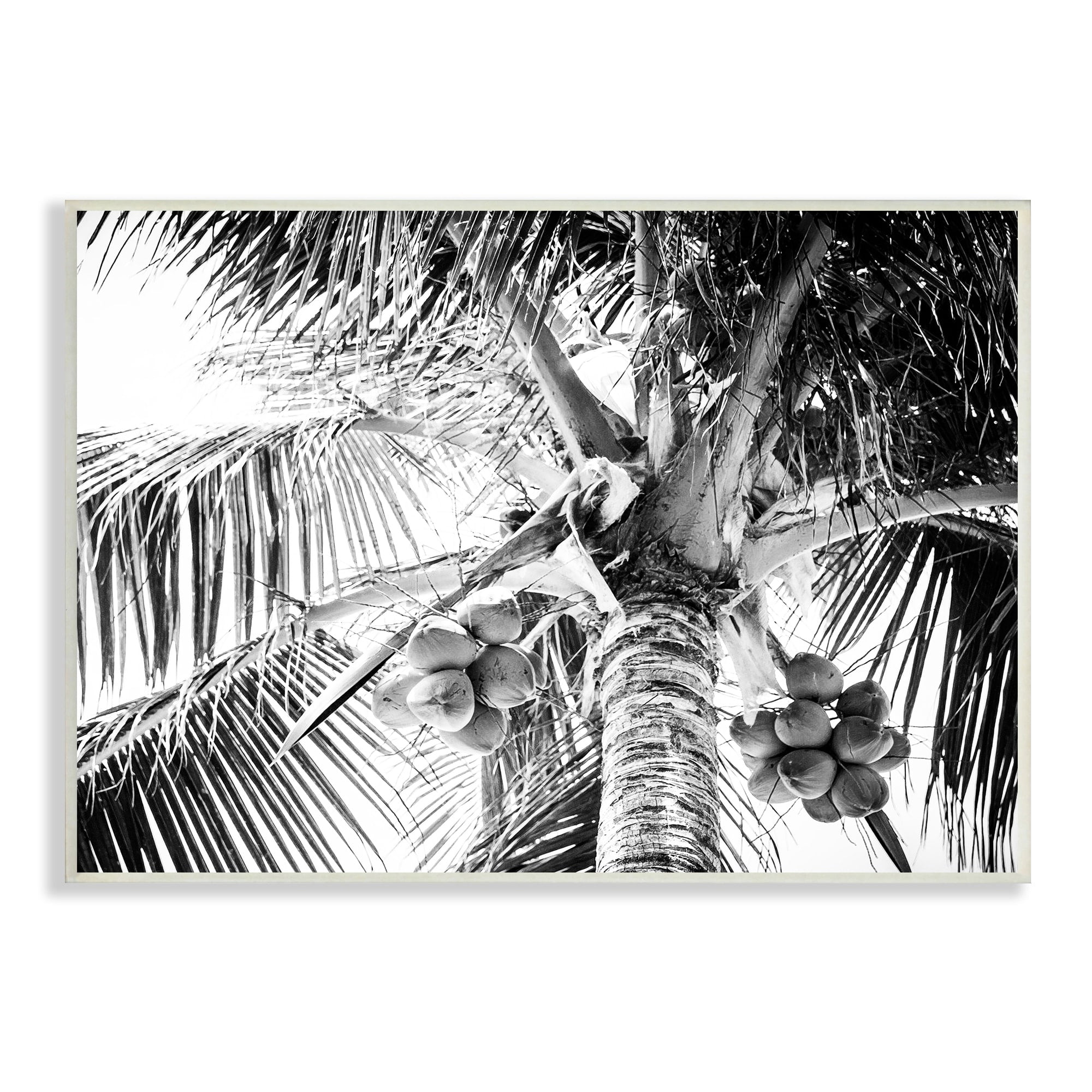 Tropical Coconut Palm Tree Monochrome Art Print on MDF Wood