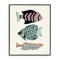 thumbnail image 1 of Stupell Industries Tropical Fish Trio Nautical & Beach Painting Black Framed Art Print Wall Art, 16 x 20, 1 of 2