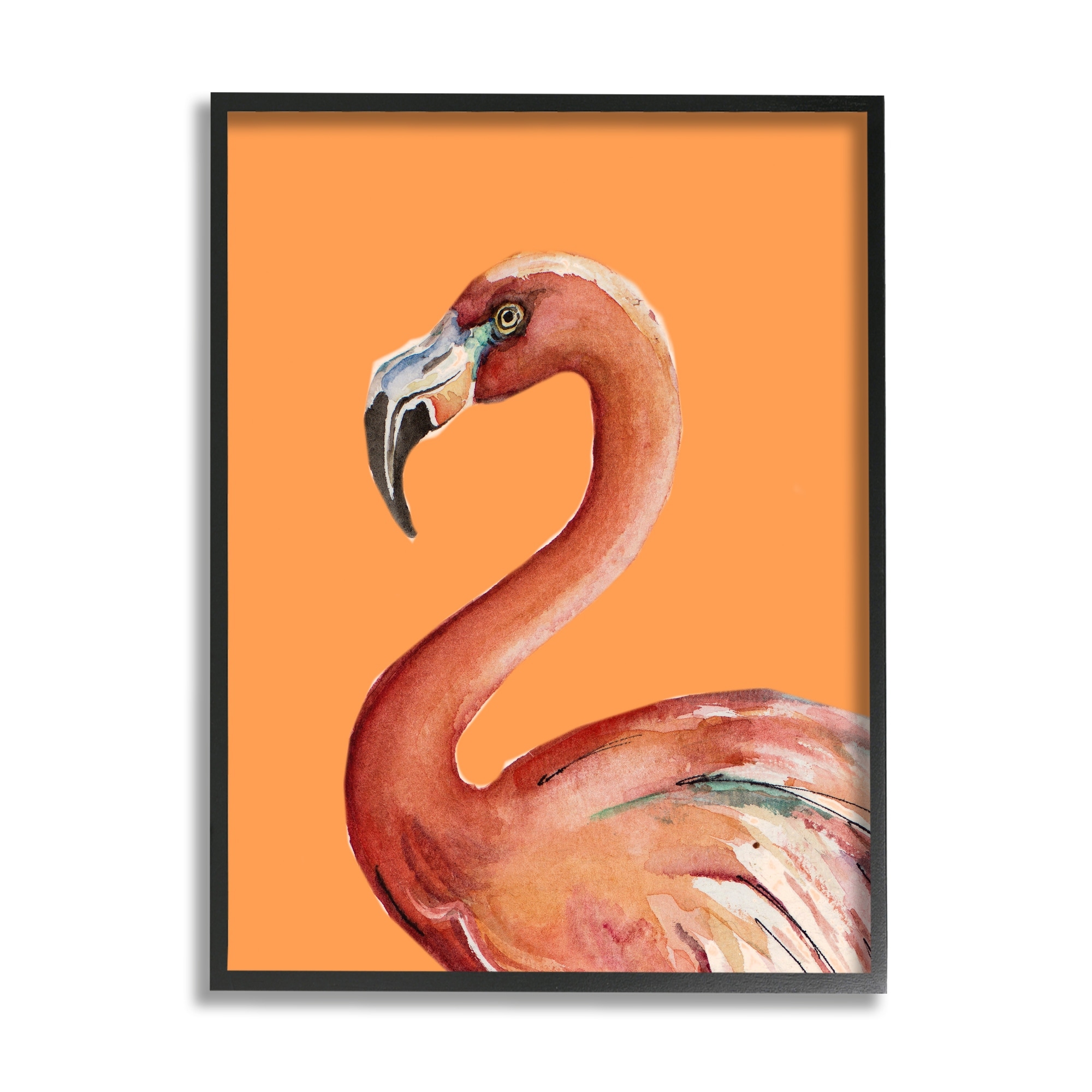 Stupell Industries Tropical Flamingo Bird Portrait Watercolor Detail Graphic Art Black Framed Art Print Wall Art, Design by Patricia Pinto
