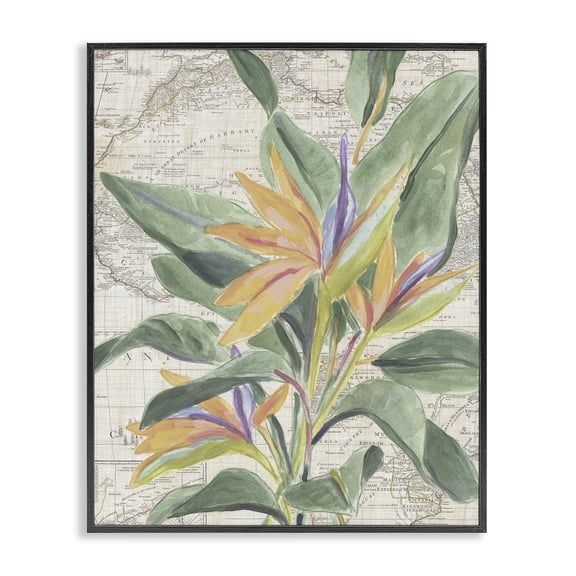 Stupell Industries Tropical Flower over Map Floral Painting Black Framed Art Print Wall Art, 24 x 30