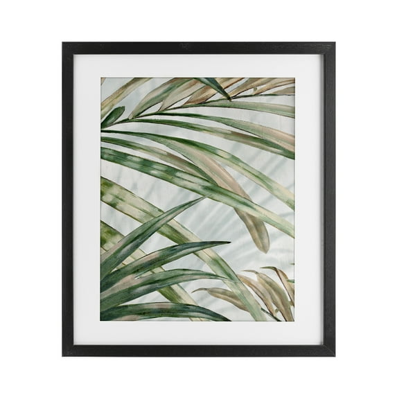 Stupell Industries Tropical Frond Impressions Black Framed Print Under Glass design by Alex Black, 16 x 13