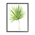 thumbnail image 1 of Stupell Industries Tropical Green Palm Fan Minimal on White Black Framed, 24 x 30, Design by Melissa Hyatt LLC, 1 of 5