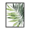 thumbnail image 1 of Stupell Industries Tropical Green Plant Expressive Palm Linework Botanical & Floral Painting Black Framed Art Print Wall Art, 11 x 14, 1 of 7