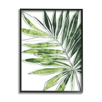 Stupell Industries Tropical Green Plant Expressive Palm Linework Botanical & Floral Painting Black Framed Art Print Wall Art, 11 x 14