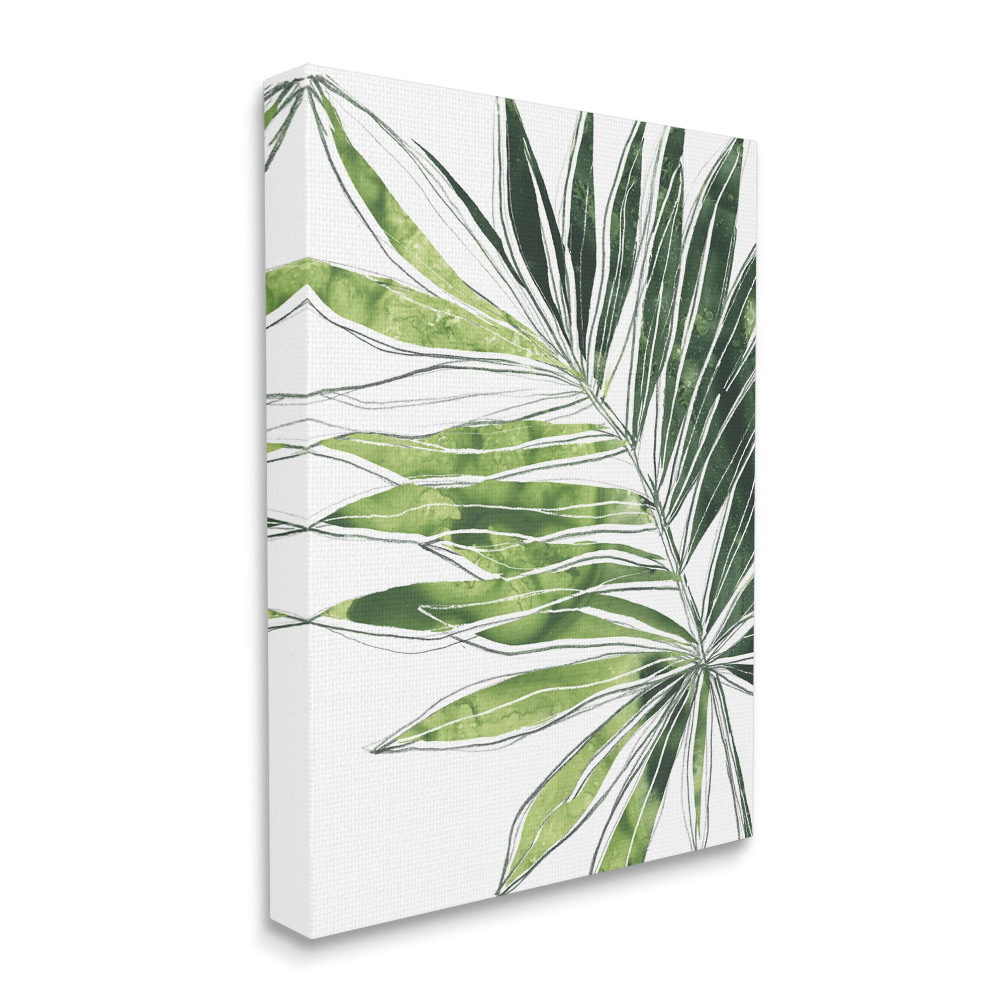 Stupell Industries Tropical Green Plant Expressive Palm Linework Botanical & Floral Painting Gallery Wrapped Canvas Art Print Wall Art, 16 x 20