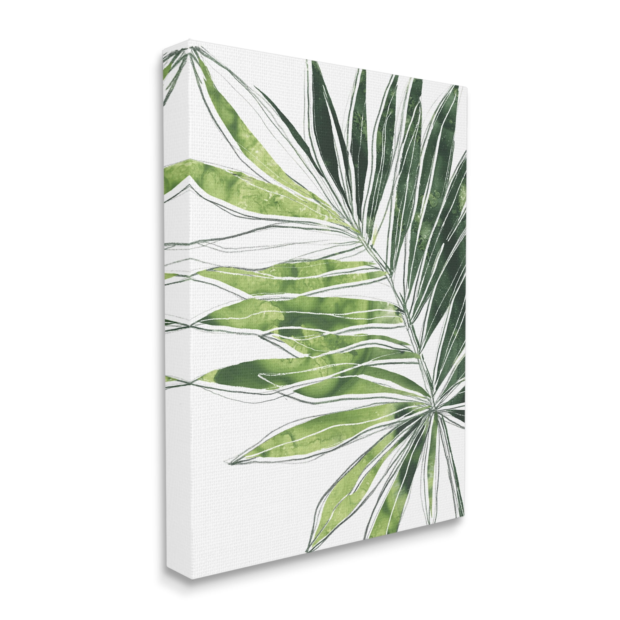 Stupell Industries Tropical Green Plant Expressive Palm Linework Botanical & Floral Painting Gallery Wrapped Canvas Art Print Wall Art, 30 x 40