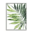 thumbnail image 1 of Stupell Industries Tropical Green Plant Expressive Palm Linework Graphic Art Framed Art Print Wall Art, 24x30, By June Erica Vess, 1 of 8